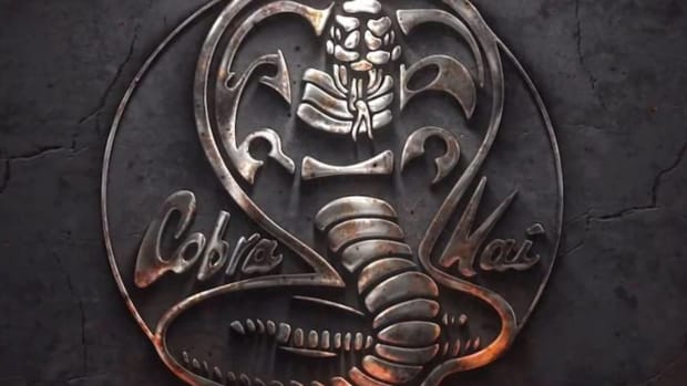 Cobra Kai new