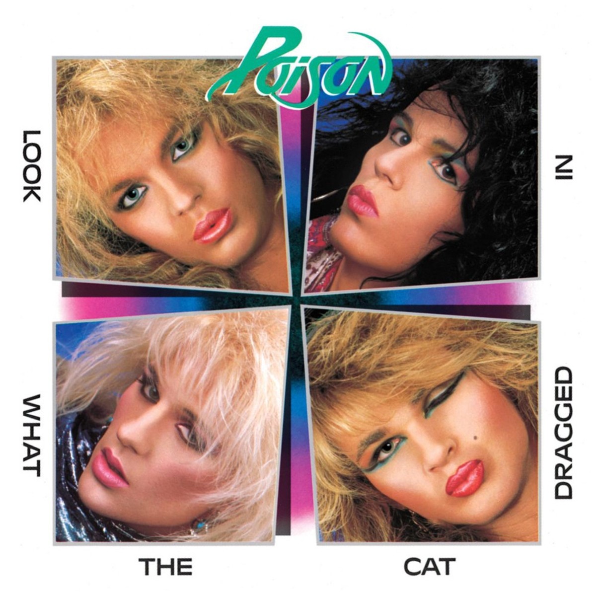 Poison - Cat Dragged In album cover